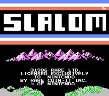 slalom1.jpg