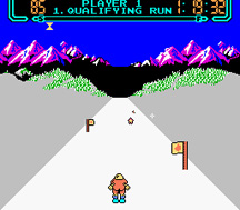 slalom2.jpg